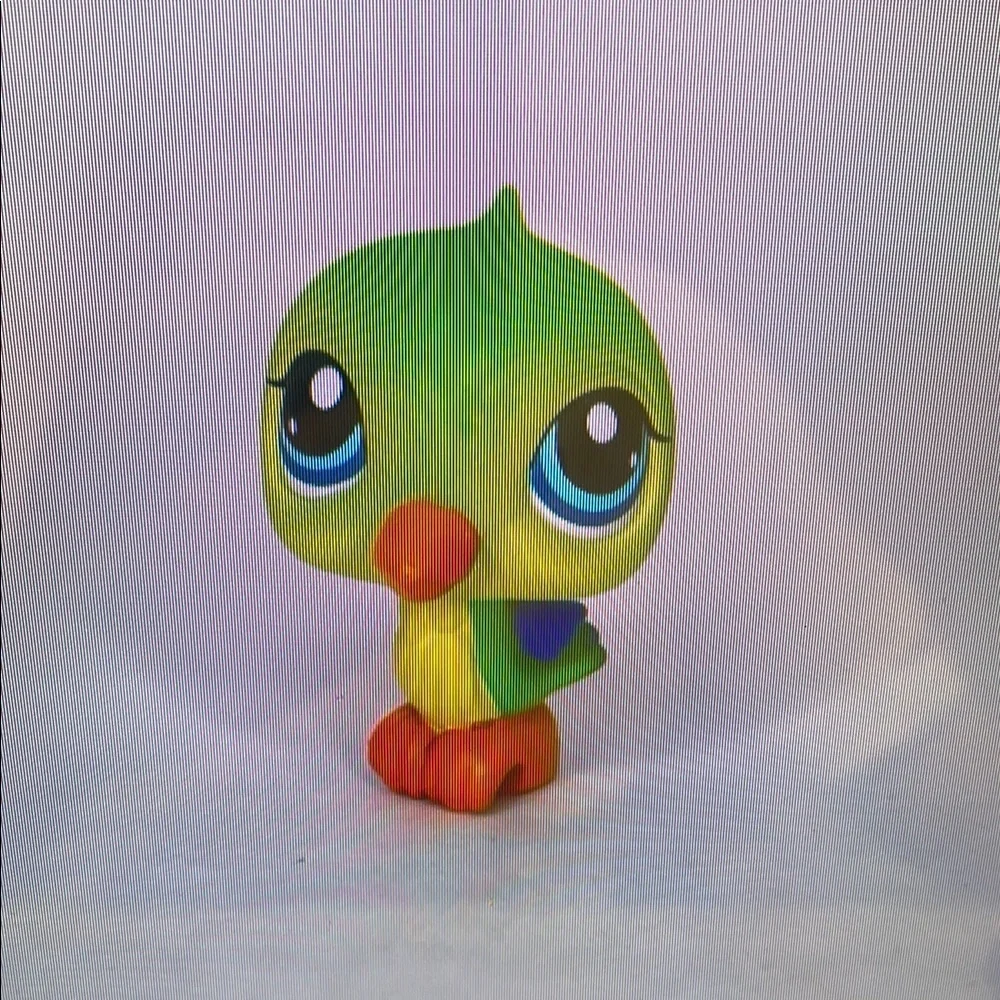 Colorful Bird Toy for Pets